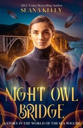Cover: Night Owl Bridge - NYLA