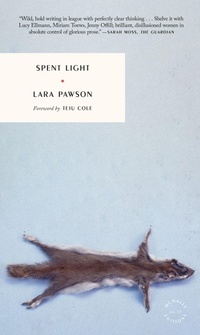 Enlarge image Cover: Spent Light - McNally Editions