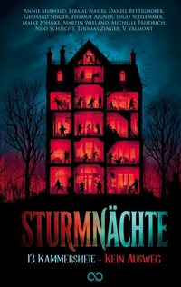 Enlarge image Cover: Sturmnächte - tredition