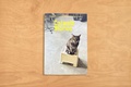 Cover: Catwalk Stories - Edition Haus am Gern