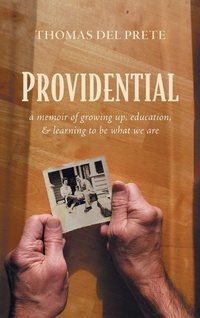 Enlarge image Cover: Providential - Resource Publications