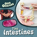 Cover: The Intestines - Gareth Stevens Publishing