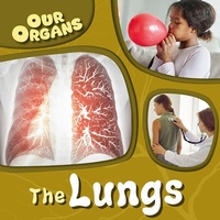 Enlarge image Cover: The Lungs - Gareth Stevens Publishing