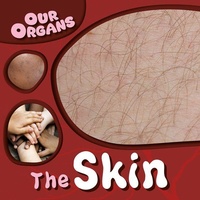 Enlarge image Cover: The Skin - Gareth Stevens Publishing