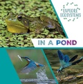 Cover: In a Pond - Gareth Stevens Publishing