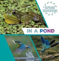 Enlarge image Cover: In a Pond - Gareth Stevens Publishing