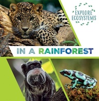 Enlarge image Cover: In a Rainforest - Gareth Stevens Publishing