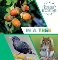Enlarge image Cover: In a Tree - Gareth Stevens Publishing