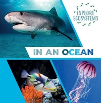 Enlarge image Cover: In an Ocean - Gareth Stevens Publishing