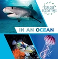 Cover: In an Ocean - Gareth Stevens Publishing