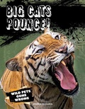 Cover: Big Cats Pounce! - Gareth Stevens Publishing