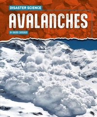 Enlarge image Cover: Avalanches - Gareth Stevens Publishing
