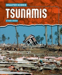 Enlarge image Cover: Tsunamis - Gareth Stevens Publishing