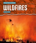 Cover: Wildfires - Gareth Stevens Publishing