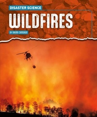 Enlarge image Cover: Wildfires - Gareth Stevens Publishing