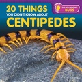Cover: 20 Things You Didn't Know about Centipedes - PowerKids Press