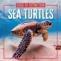 Enlarge image Cover: Sea Turtles - PowerKids Press