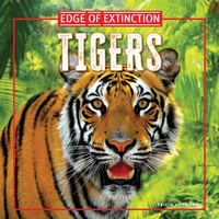 Enlarge image Cover: Tigers - PowerKids Press