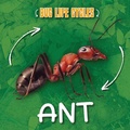 Cover: Ant - Greenhaven Publishing LLC