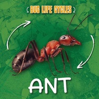 Enlarge image Cover: Ant - Kidhaven Publishing