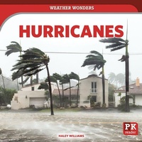 Enlarge image Cover: Hurricanes - PowerKids Press