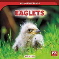 Enlarge image Cover: Eaglets - PowerKids Press