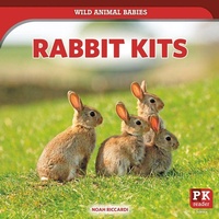 Enlarge image Cover: Rabbit Kits - PowerKids Press