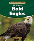 Cover: All about Bald Eagles - Rosen Publishing Group, Inc