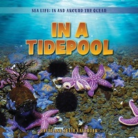 Enlarge image Cover: In a Tidepool - PowerKids Press