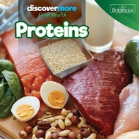 Enlarge image Cover: Proteins - Rosen Education Service