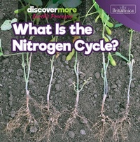 Enlarge image Cover: What Is the Nitrogen Cycle? - Rosen Education Service