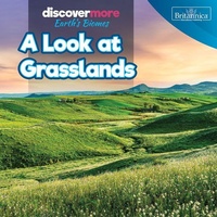Enlarge image Cover: A Look at Grasslands - Rosen Education Service