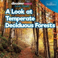 Enlarge image Cover: A Look at Temperate Deciduous Forests - Rosen Education Service