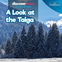 Enlarge image Cover: A Look at the Taiga - Rosen Education Service