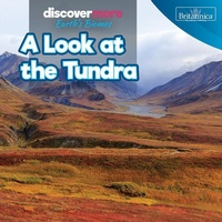 Enlarge image Cover: A Look at the Tundra - Rosen Education Service