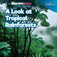 Enlarge image Cover: A Look at Tropical Rainforests - Rosen Education Service