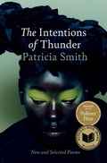 Cover: The Intentions of Thunder - Scribner Book Company