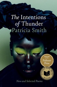 Enlarge image Cover: The Intentions of Thunder - Scribner Book Company
