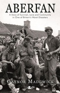 Cover: Aberfan - Y Lolfa
