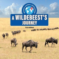 Enlarge image Cover: A Wildebeest's Journey - Enslow Publishing