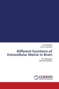 Cover: Different functions of Extracellular Matrix in Brain - LAP Lambert Academic Publishing