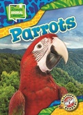 Cover: Parrots - Bellwether Media by Flutterbee
