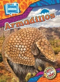 Cover: Armadillos - Bellwether Media by Flutterbee
