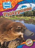 Cover: Platypuses - Bellwether Media by Flutterbee