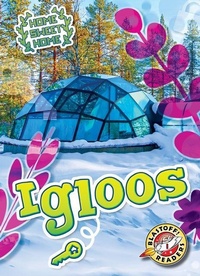 Enlarge image Cover: Igloos - Bellwether Media by Flutterbee