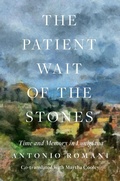 Cover: The Patient Wait of the Stones - Galpi1/2n Press