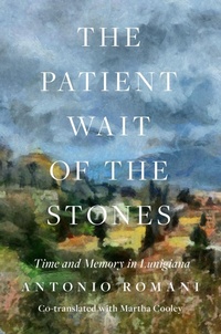 Enlarge image Cover: The Patient Wait of the Stones - Galpi1/2n Press