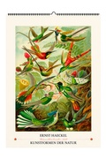 Cover: Ernst Haeckel. Kunstformen der Natur. Wandkalender 2027 - Favoritenpresse GmbH
