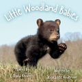 Cover: Little Woodland Babies - AO Press