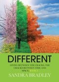 Cover: Different: Living Between the Cracks, the Cracks Between Time and Space - Tellwell Talent